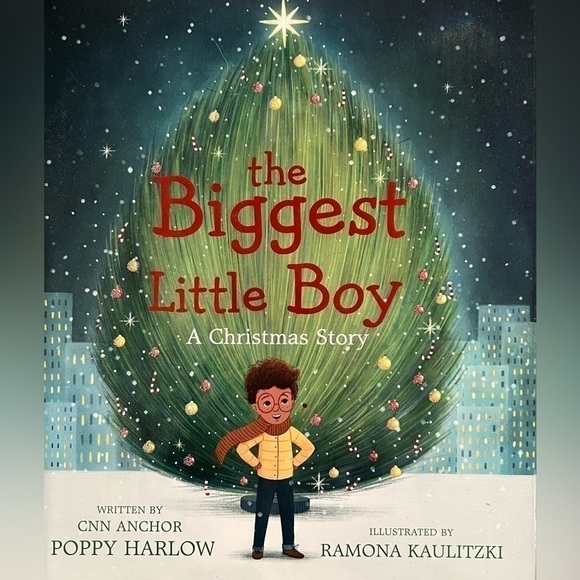THE Biggest Little Boy & Santa In The City Hardcover Picture Books, Set of 2 - Picture 2 of 9